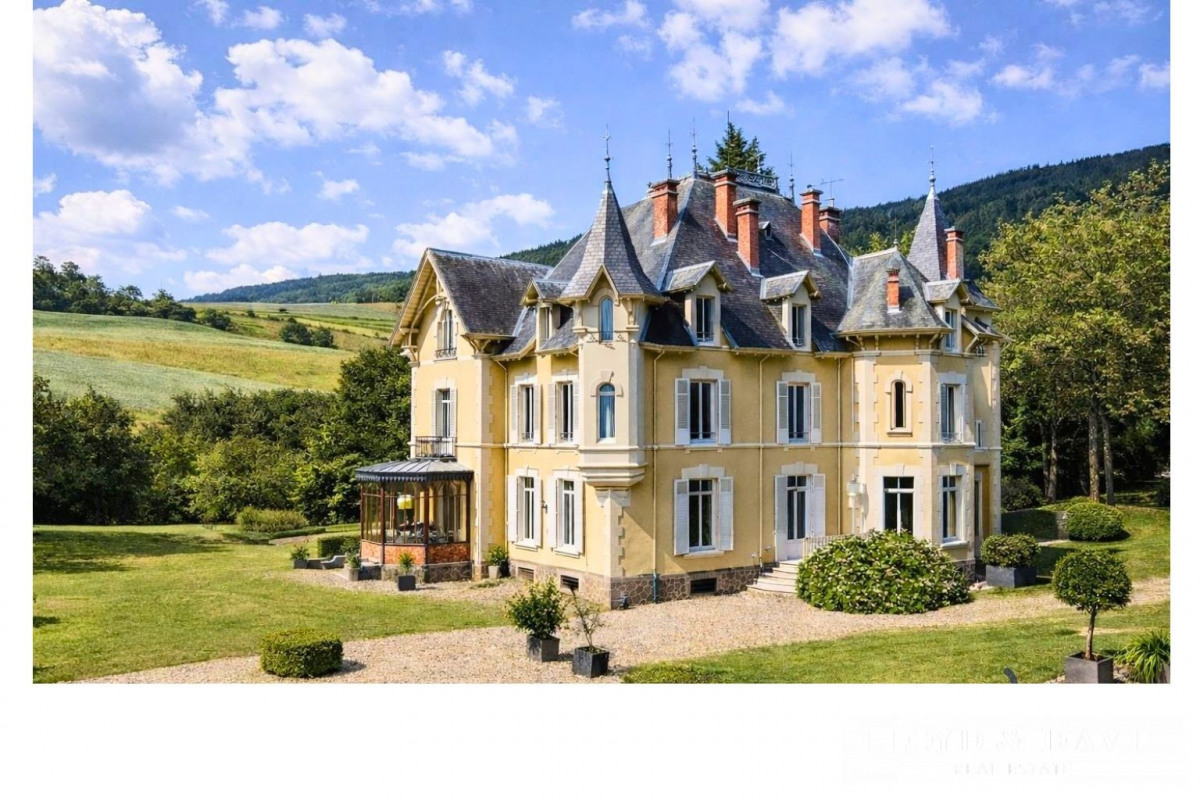 Castle for sale in Saint-Julien-Molin-Molette