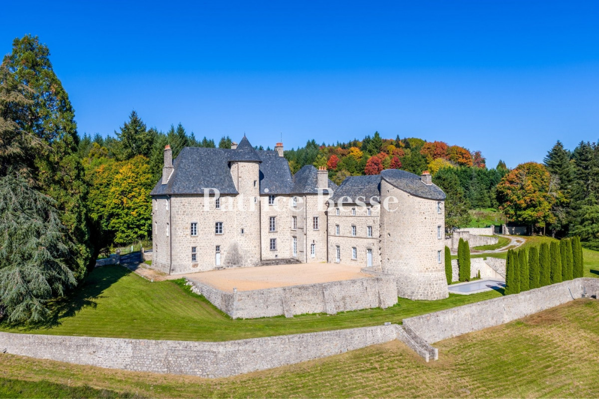 Château à vendre à Ussel