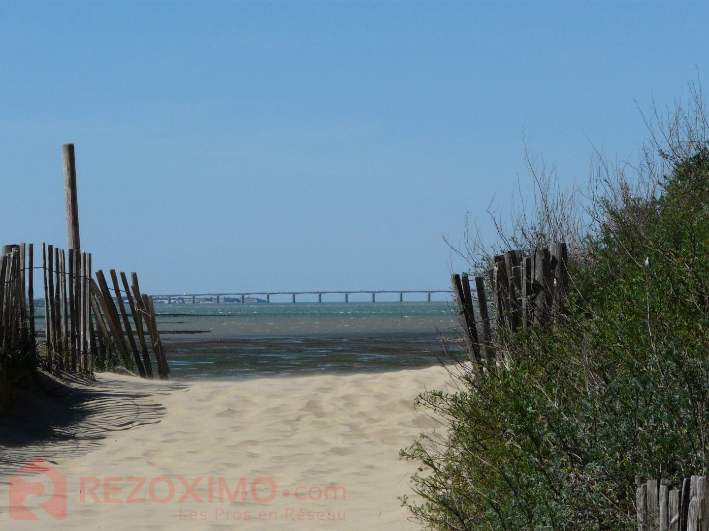 Villa De Luxe A Vendre A Ronce Les Bains 848 000 7 Pieces 130 M Belles Demeures