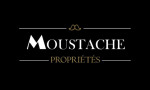 MOUSTACHE PROPRIETES MOUSTACHE PROPRIETES