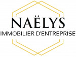 Logo agence NAELYS