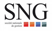 S.N.G IMMOBILIER