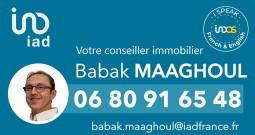 Agente comercial iad France  Babak Maaghoul a Boulogne-Billancourt
