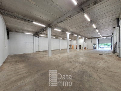 Local commercial 542 m² 