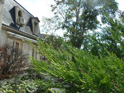 Vk Immo Agence Immobiliere A 155 Av Gen Leclerc 94700 Maisons Alfort