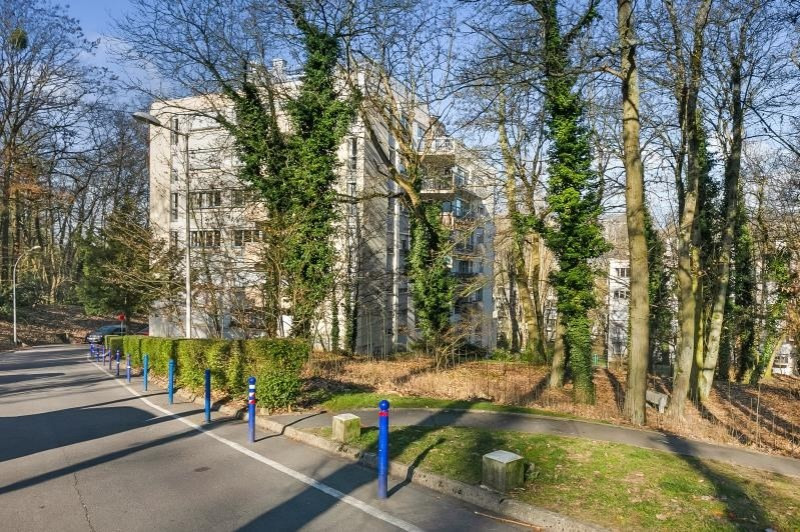 18 Rue De La Ronce Ville D'avray