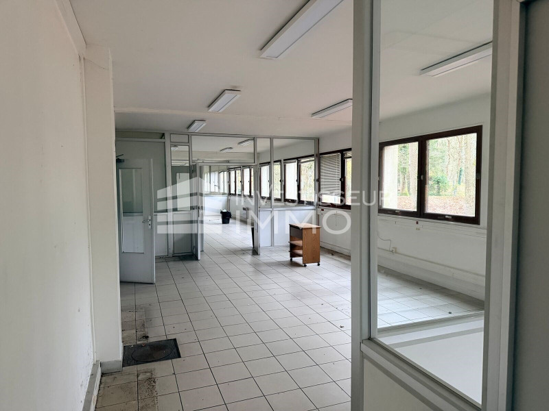 Vente Local d'activités / Entrepôt Bois-le-Roi