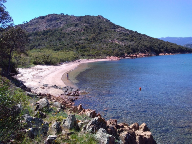 Plage de Pavellone
