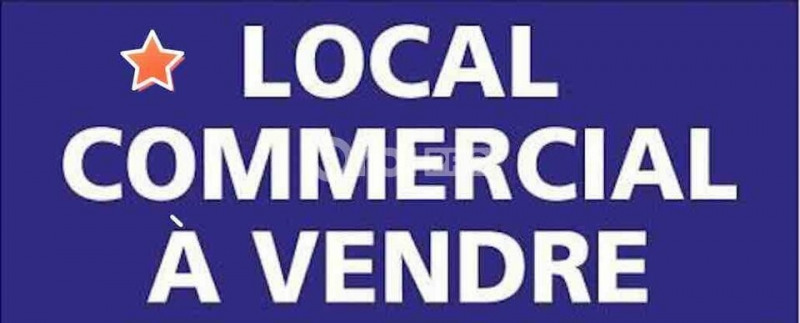 Vente Local d'activités / Entrepôt Parçay-Meslay