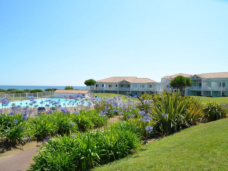 grande piscine chauffée jardin paysagé