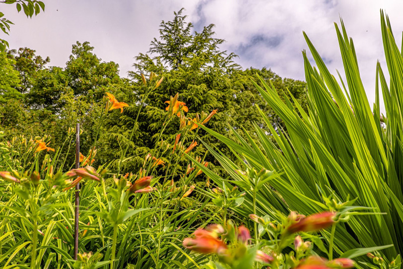 Vente maison 9 pièces VillonslesBuissons maison F9/T9/9 pièces 165