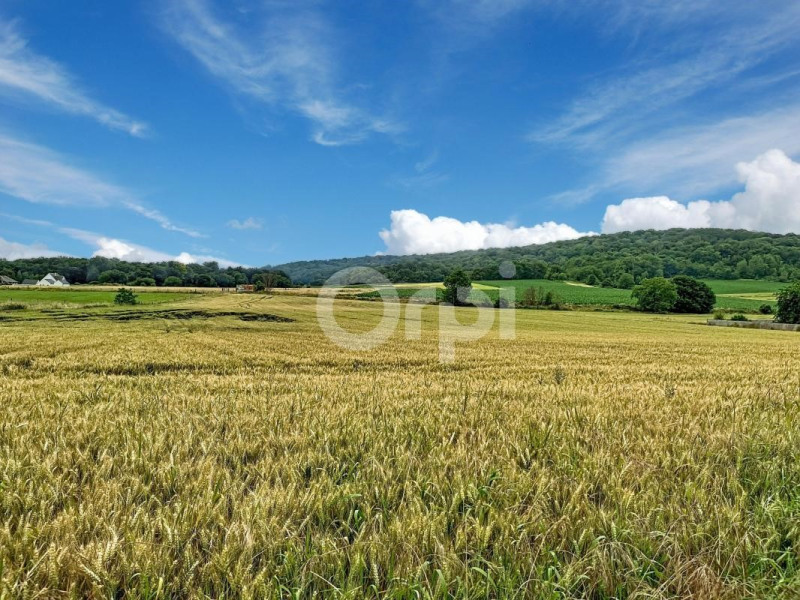 Vente Terrain Sacy-le-Grand
