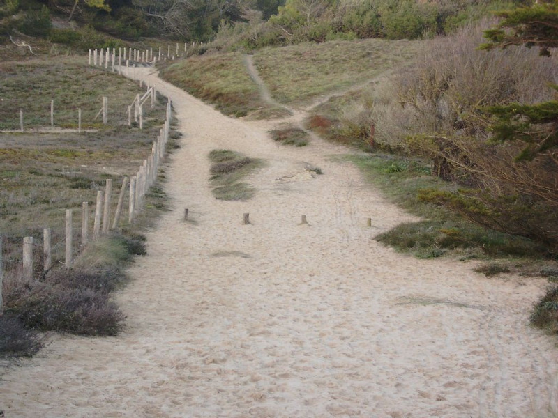 Départ de sentiers dans les dunes