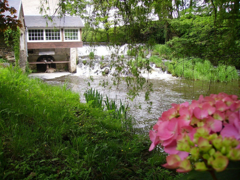vue exterieur sur le petit salon et la cascade