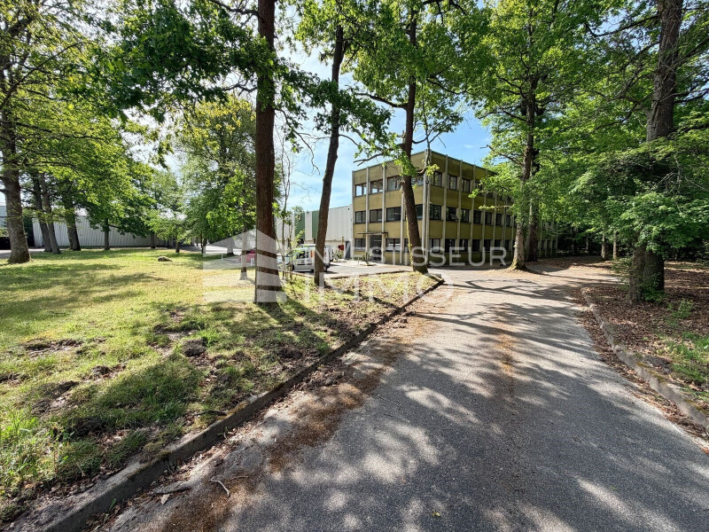 Vente Local d'activités / Entrepôt Bois-le-Roi