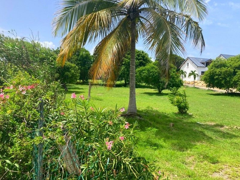 Vente Terrain Saint-François