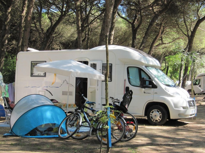 Camping Piomboni SRL, 400 emplacements, 43 locatifs