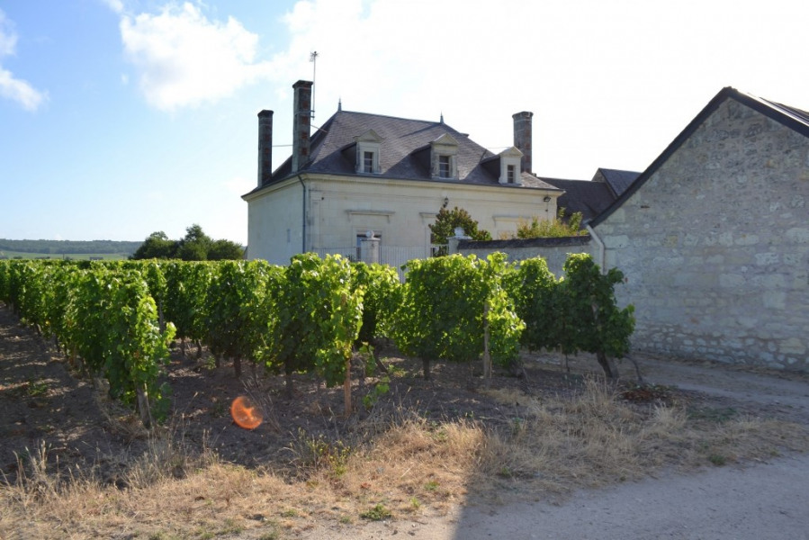 Gite De Vacances A Saint Nicolas De Bourgueil En Centre Pour 4
