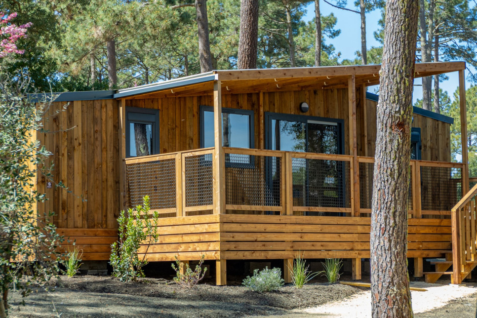 Program neuf LES LODGES DE SAINT-MARTIN - Saint-Martin-de-Hinx