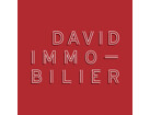 DAVID IMMOBILIER