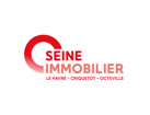 Seine Immobilier