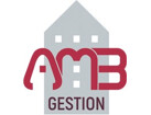 AMB GESTION